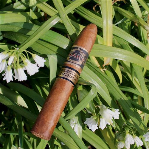 Regius Orchant Seleccion - Exclusive to C.Gars