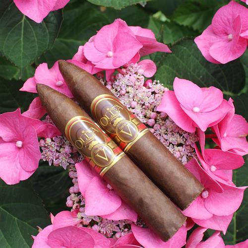 Oliva Cigars - Nicaraguan Cigars